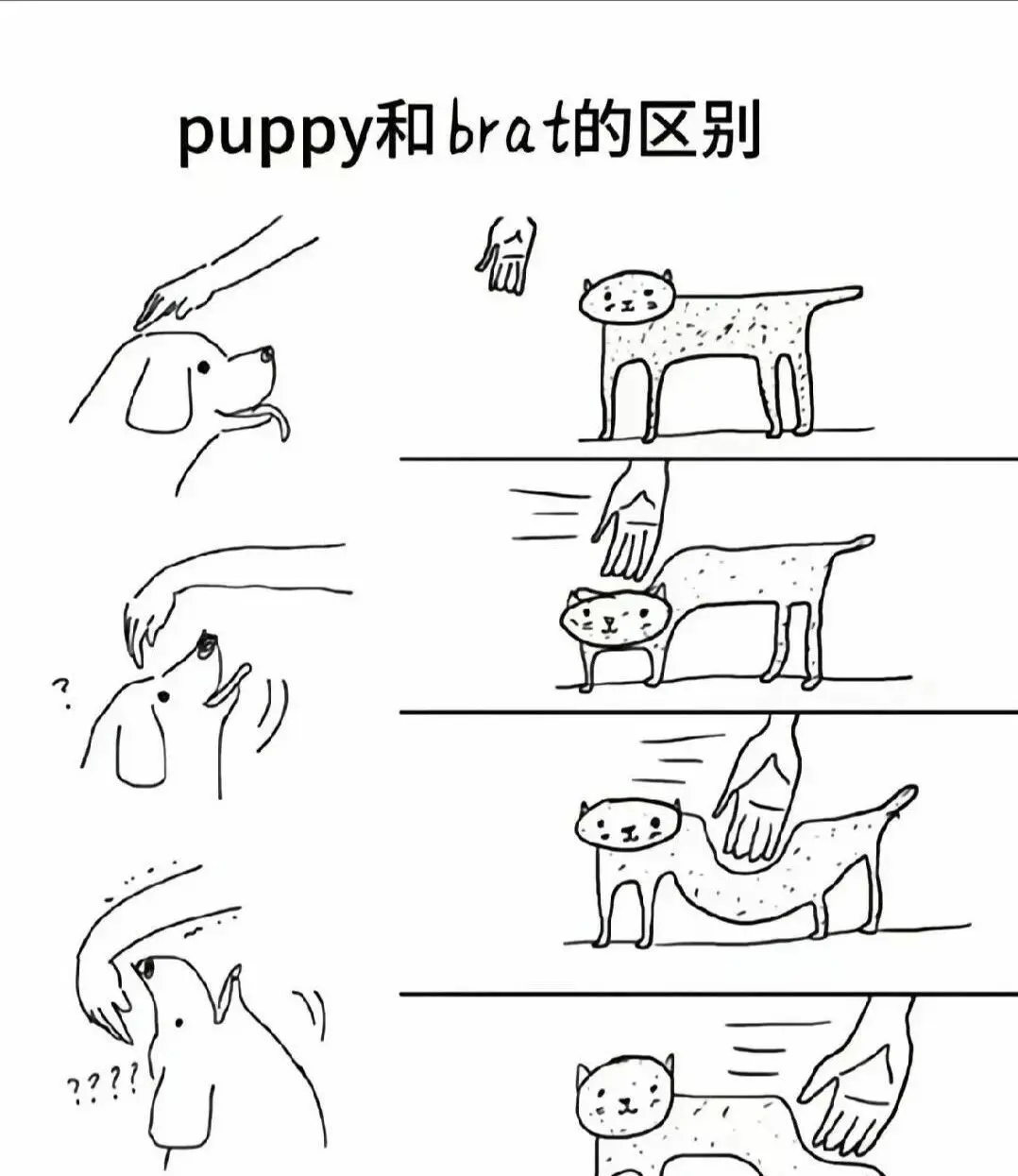 【西檬之家】BDSM字母圈DOM是什么意思？