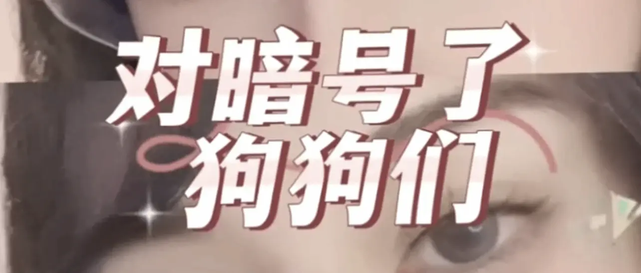 【西檬之家】字母圈新人入门：BDSM核心概念与SSC原则指南