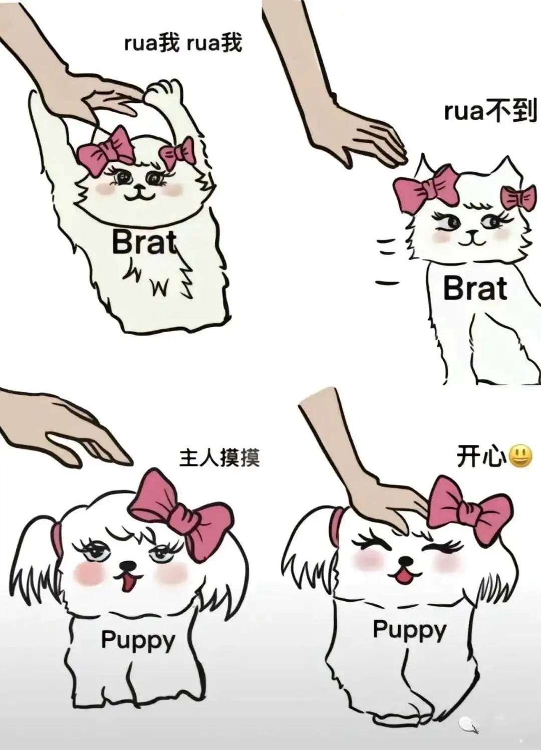 【西檬之家】Brat属性详解：字母圈新人的权力互动指南