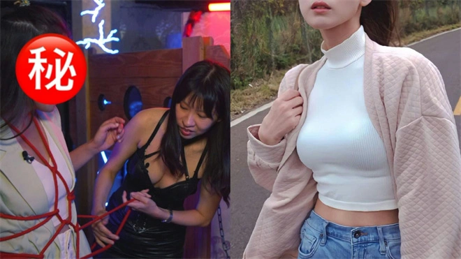 k9是什么 - 21394