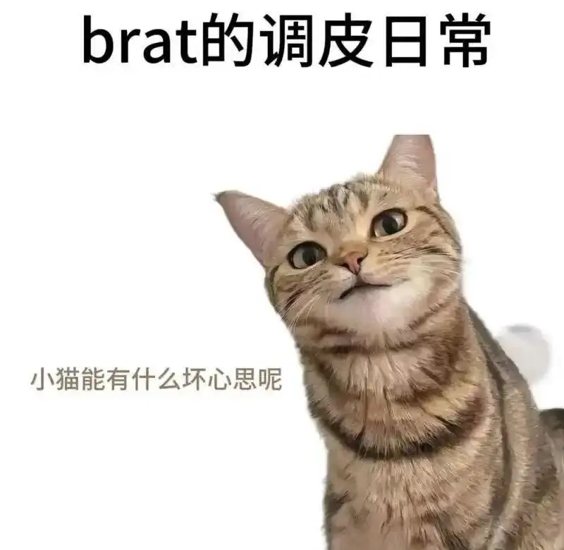 【西檬之家】BDSM M倾向新手入门指南