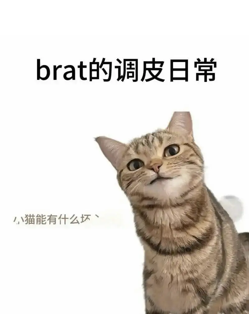 西檬之家-PE是什么意思？BDSM权力交换实践指南