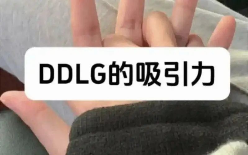 西檬之家-K9是什么？解析字母圈中的犬系角色