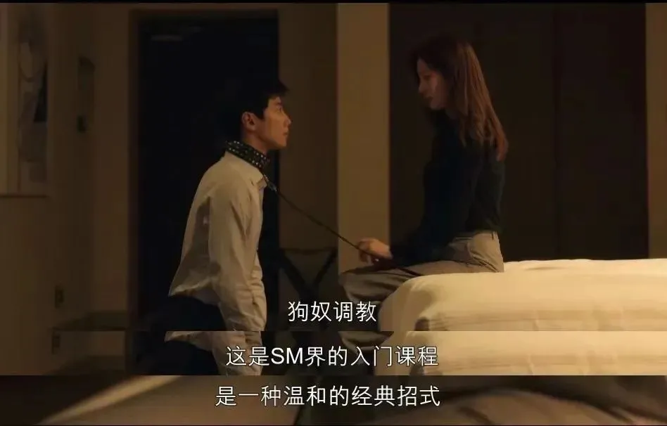 【西檬之家】BDSM新人入圈指南：如何理解SSC原则与核心术语